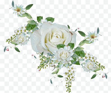fleurs roses blanches png