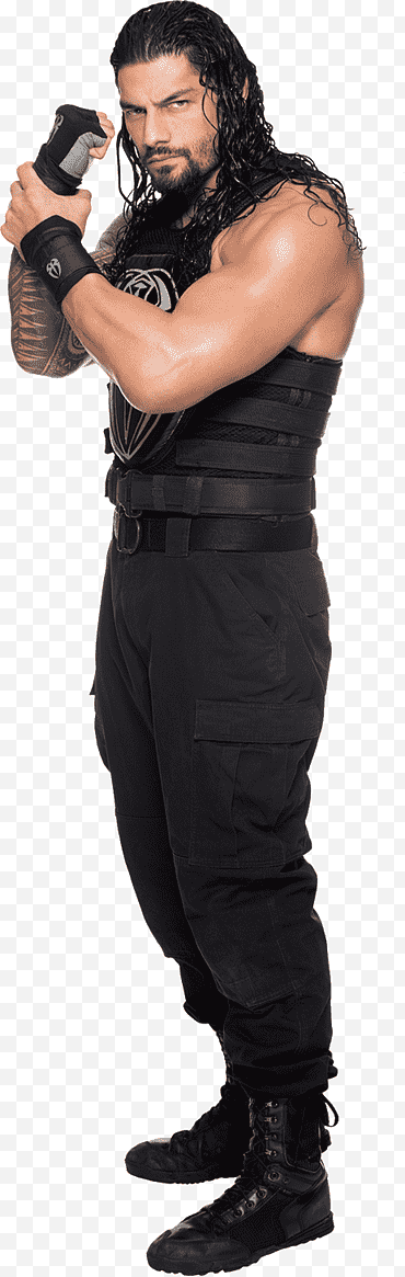 Roman Reigns 2016 Stats png