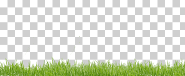 césped verde png
