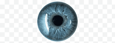 Iris 1, oeil bleu png