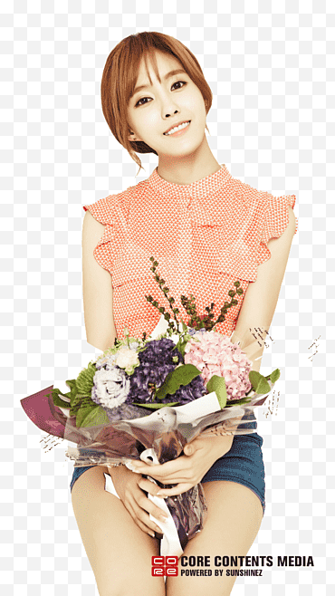 Hyomin T Ara png