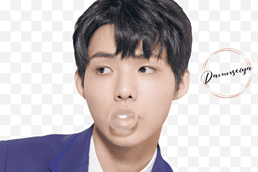 LEE MIDAM PRODUCE X101 png
